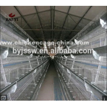 Full Automatic Poultry Equipment for Layer Chicken Breeding